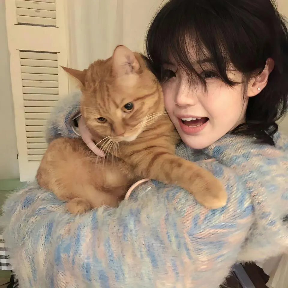 养狗与猫每天都很开心